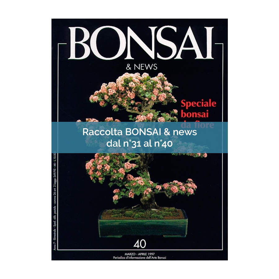RACCOLTA BONSAI & NEWS DAL 31 AL 40
