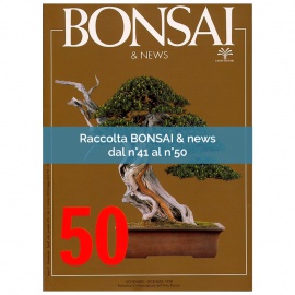 RACCOLTA BONSAI & NEWS DAL 41 AL 50