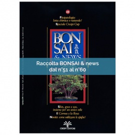 RACCOLTA BONSAI & NEWS DAL 51 AL 60