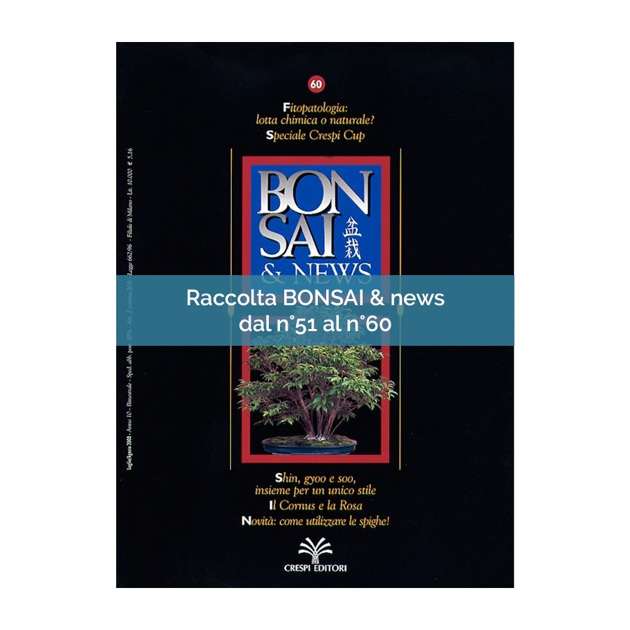 RACCOLTA BONSAI & NEWS DAL 51 AL 60