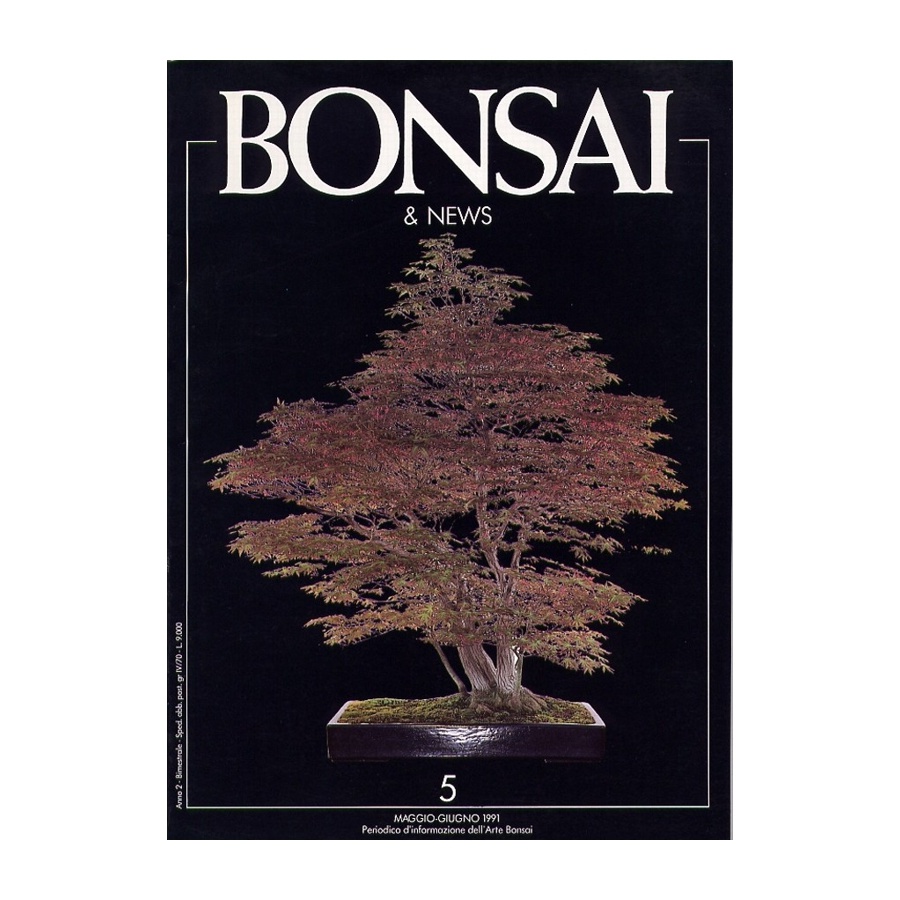 BONSAI & NEWS 5 - MAG-GIU 1991