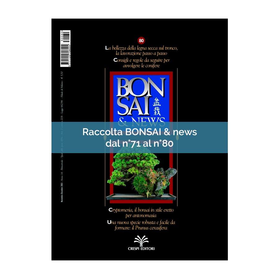 RACCOLTA BONSAI & NEWS DAL 71 AL 80