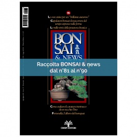 RACCOLTA BONSAI & NEWS DAL 81 AL 90