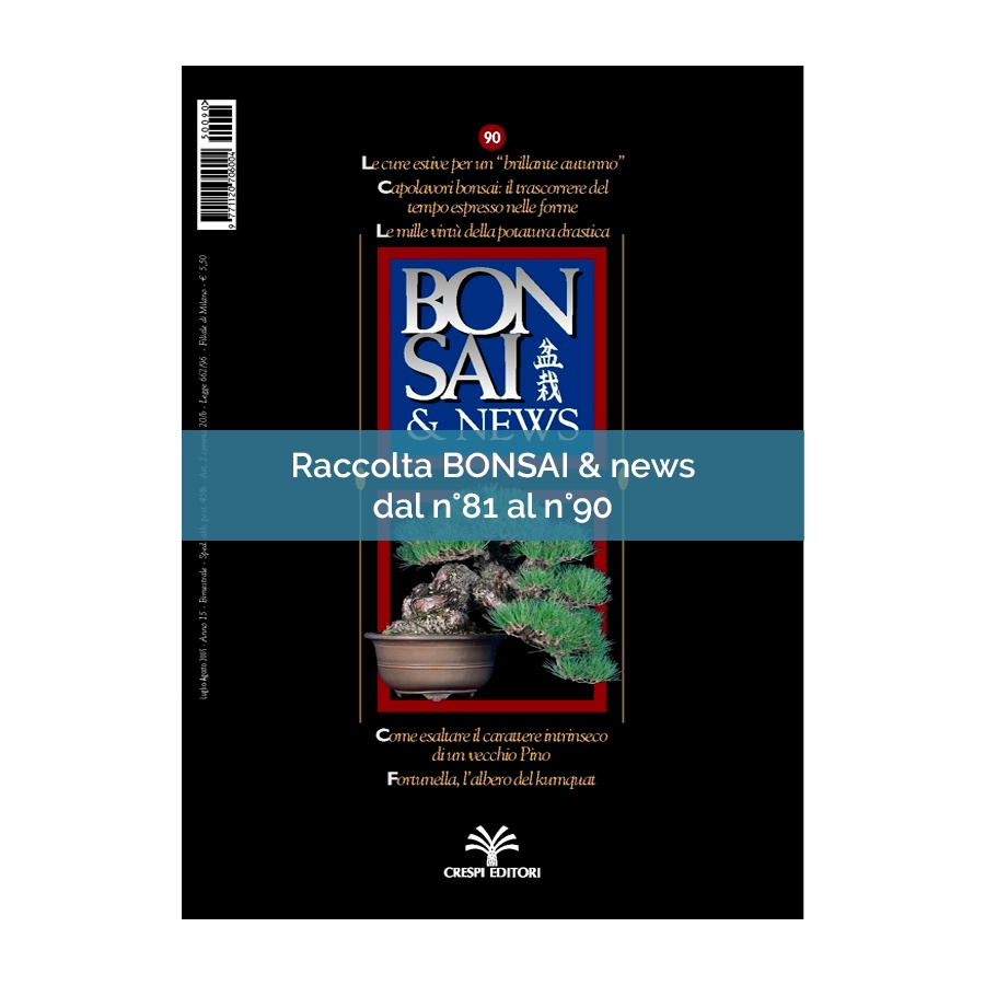 RACCOLTA BONSAI & NEWS DAL 81 AL 90