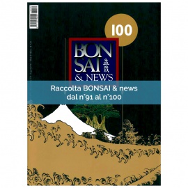 RACCOLTA BONSAI & NEWS DAL 91 AL 100
