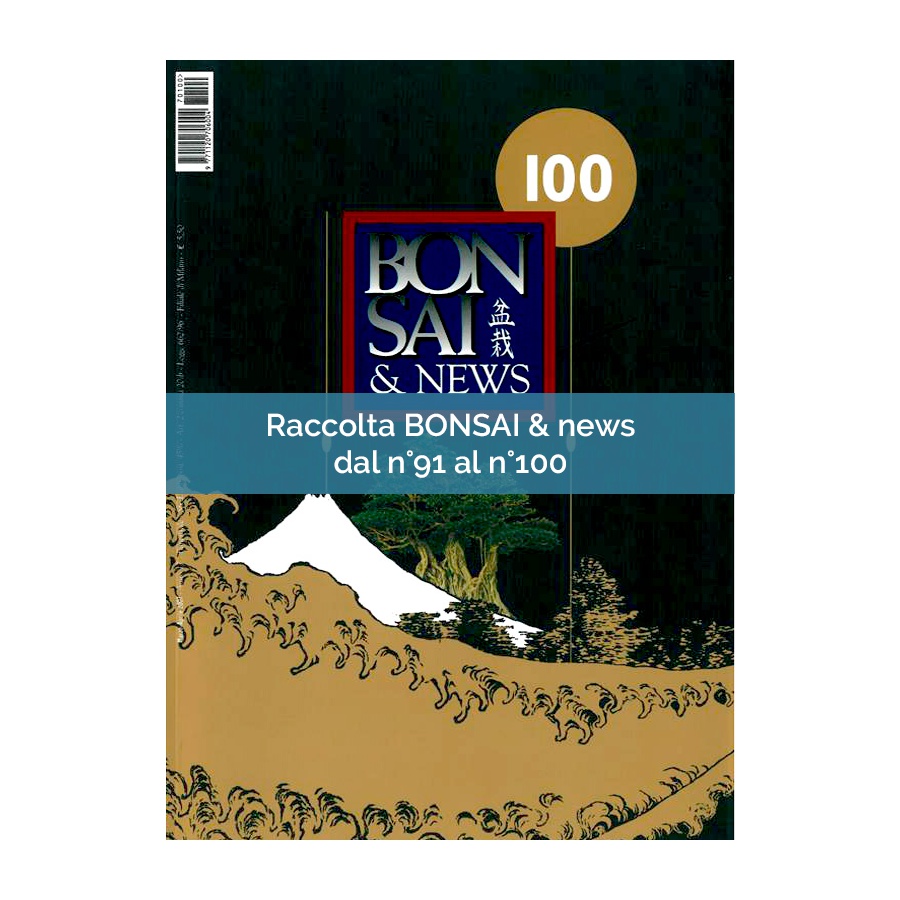 RACCOLTA BONSAI & NEWS DAL 91 AL 100