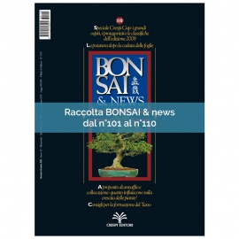 RACCOLTA BONSAI & NEWS DAL 101 AL 110