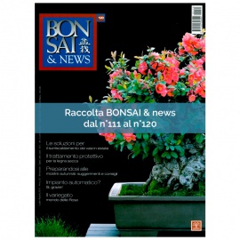 RACCOLTA BONSAI & NEWS DAL 111 AL 120
