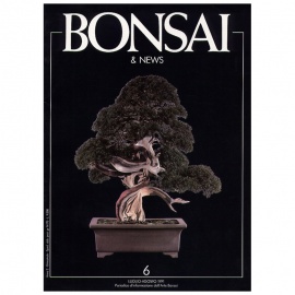 BONSAI & NEWS 6 - LUG-AGO 1991