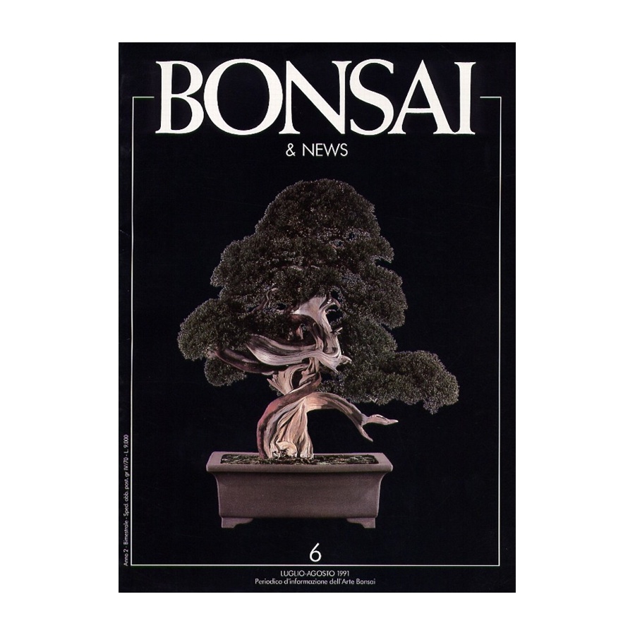 BONSAI & NEWS 6 - LUG-AGO 1991