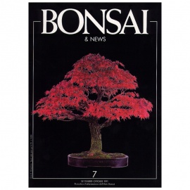 BONSAI & NEWS 7 - SET-OTT 1991