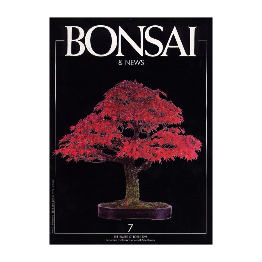 BONSAI & NEWS 7 - SET-OTT 1991