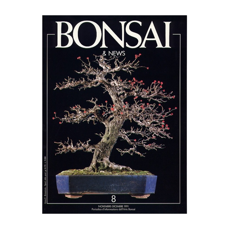 BONSAI & NEWS 8 - NOV-DIC 1991