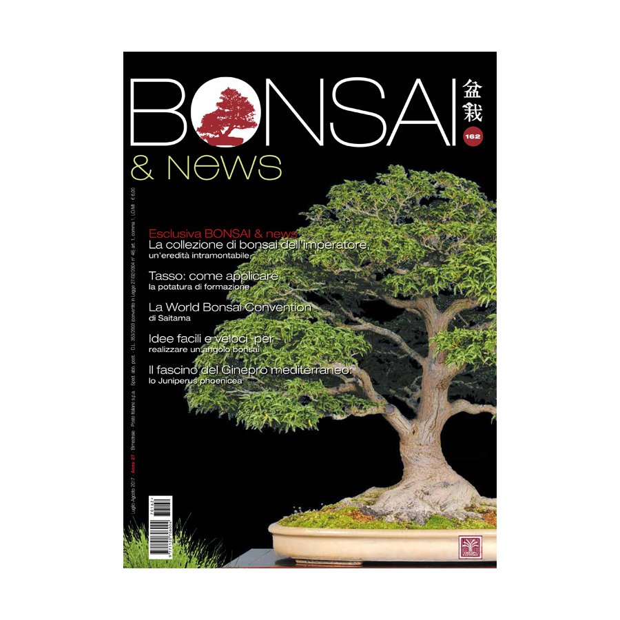 BONSAI & NEWS 162 - LUG-AGO 2017