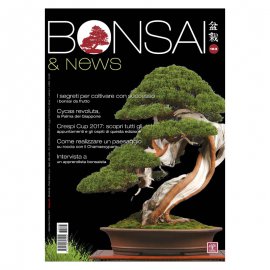 BONSAI & NEWS 163 - SETT-OTT 2017