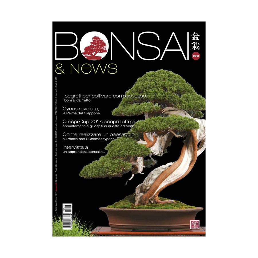 BONSAI & NEWS 163 - SETT-OTT 2017