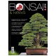 BONSAI & NEWS 164 - NOV-DIC 2017