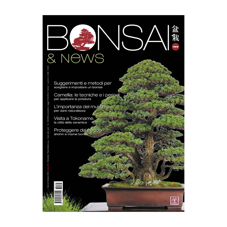 BONSAI & NEWS 164 - NOV-DIC 2017