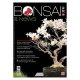 BONSAI & NEWS 164 - NOV-DIC 2017