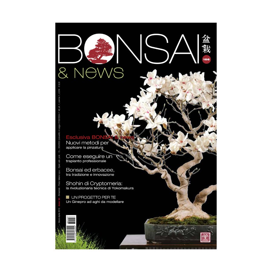 BONSAI & NEWS 164 - NOV-DIC 2017