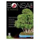 BONSAI & NEWS 167 - MAG-GIU 2018