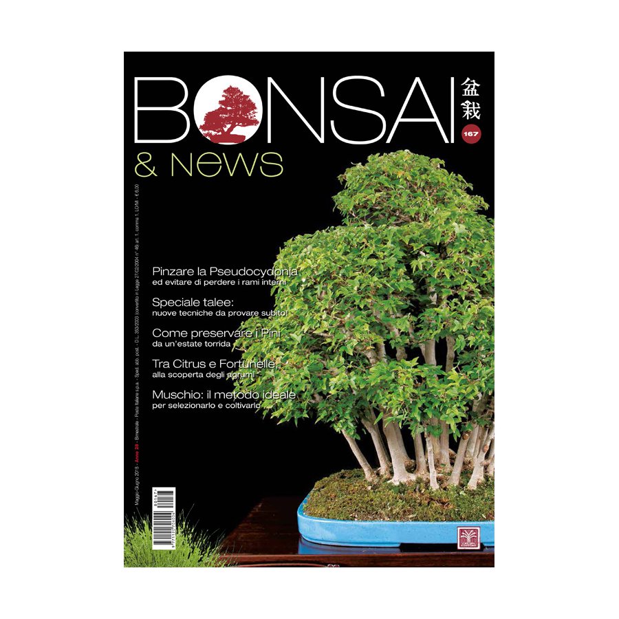 BONSAI & NEWS 167 - MAG-GIU 2018