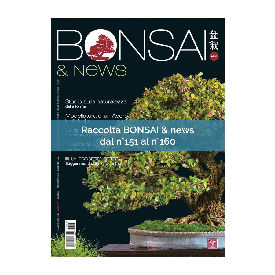 RACCOLTA BONSAI & NEWS DAL 151 AL 160