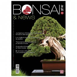 BONSAI & NEWS 169 -  SETT-OTT 2018