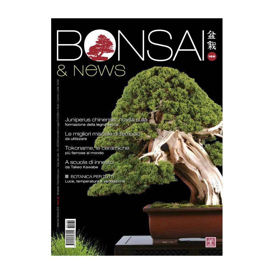 BONSAI & NEWS 169 -  SETT-OTT 2018