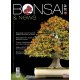 BONSAI & NEWS 170 -  NOV-DIC 2018