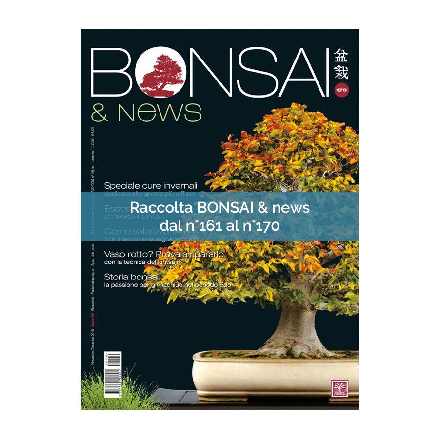 RACCOLTA BONSAI & NEWS DAL 161 AL 170