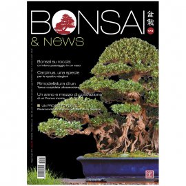 BONSAI & NEWS 173 -  MAG-GIU 2019