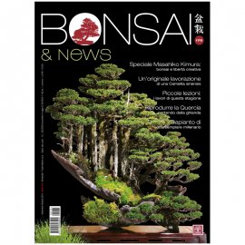 BONSAI & NEWS 175 -  SETT-OTT 2019