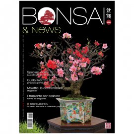 BONSAI & NEWS 178 -  MAR-APR 2020