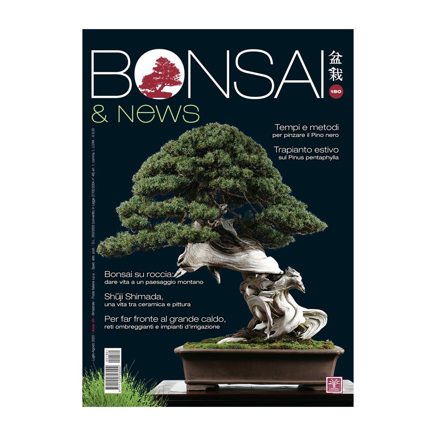 BONSAI & NEWS 180 -  LUG-AGO 2020