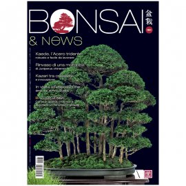 BONSAI & NEWS 181 -  SETT-OTT 2020