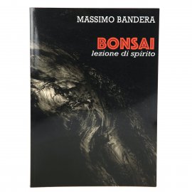 BONSAI - lezione di spirito