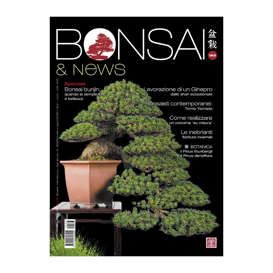 BONSAI & NEWS 183 - GENN-FEBB 2021 - Crespi Editori