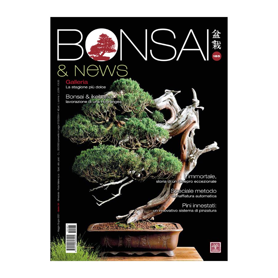 BONSAI & NEWS 185 -  MAG-GIU 2021
