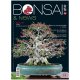 BONSAI & NEWS 188 -  NOV-DIC 2021