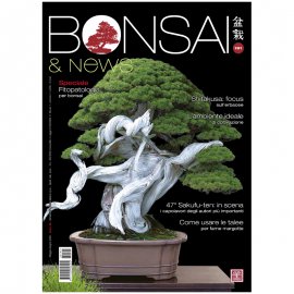 BONSAI & NEWS 191 -  MAG-GIU 2022