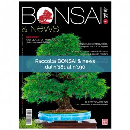 RACCOLTA BONSAI & NEWS DAL 181 AL 190