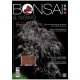 BONSAI & NEWS 196 - MAR-APR 2023