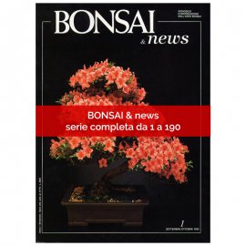 SERIE COMPLETA BONSAI & NEWS DALL'1 AL 190