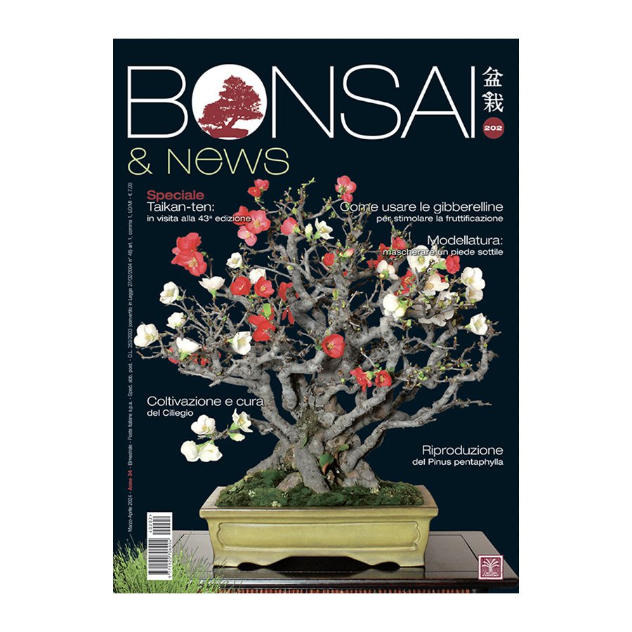 BONSAI & NEWS 202 - MAR-APR 2024