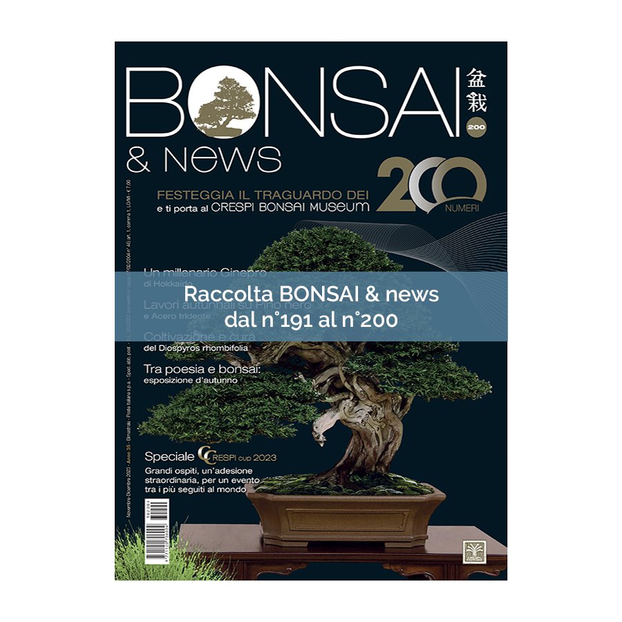 RACCOLTA BONSAI & NEWS DAL 191 AL 200