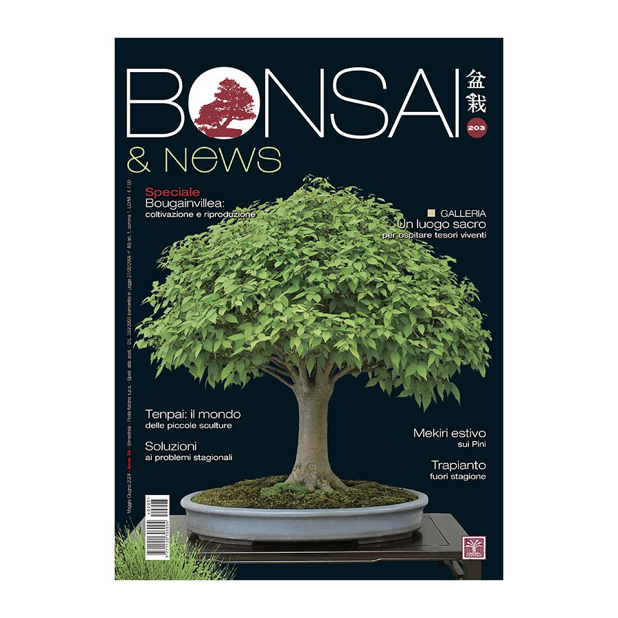 BONSAI & NEWS 203 - MAG-GIU 2024