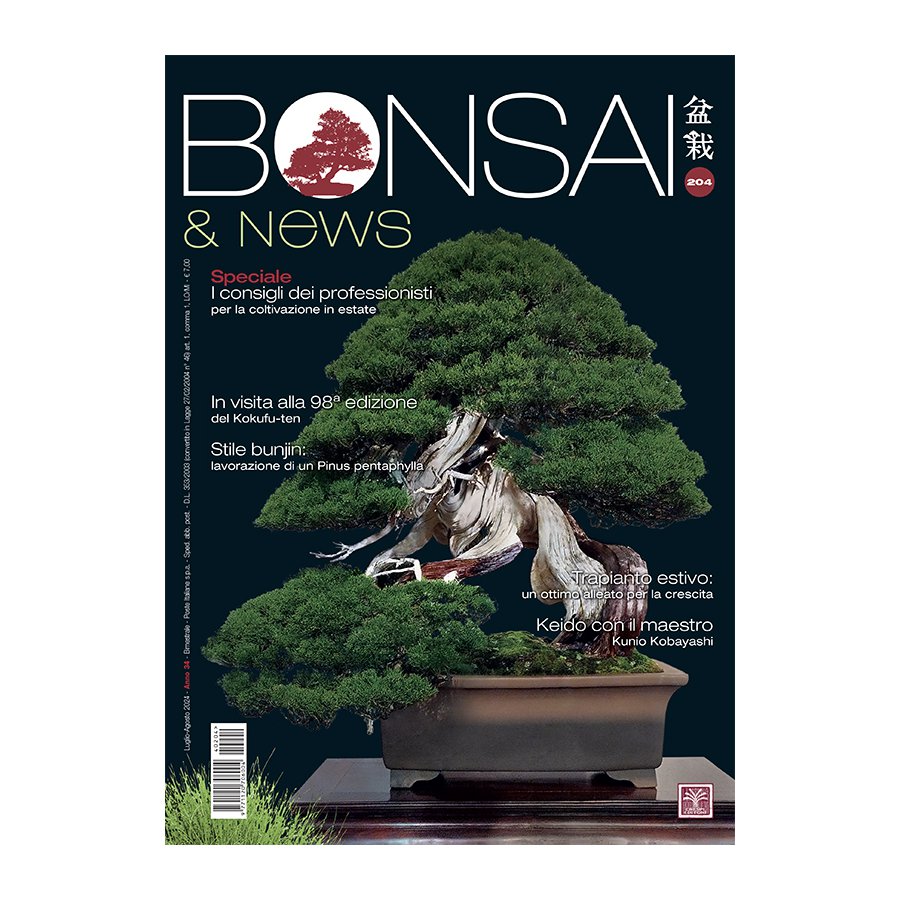 BONSAI & NEWS 204 - LUG-AGO 2024