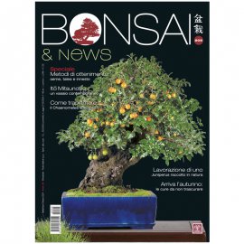 BONSAI & NEWS 205 - SETT-OTT 2024