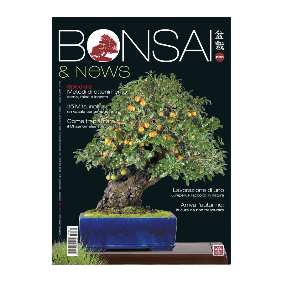 BONSAI & NEWS 205 - SETT-OTT 2024